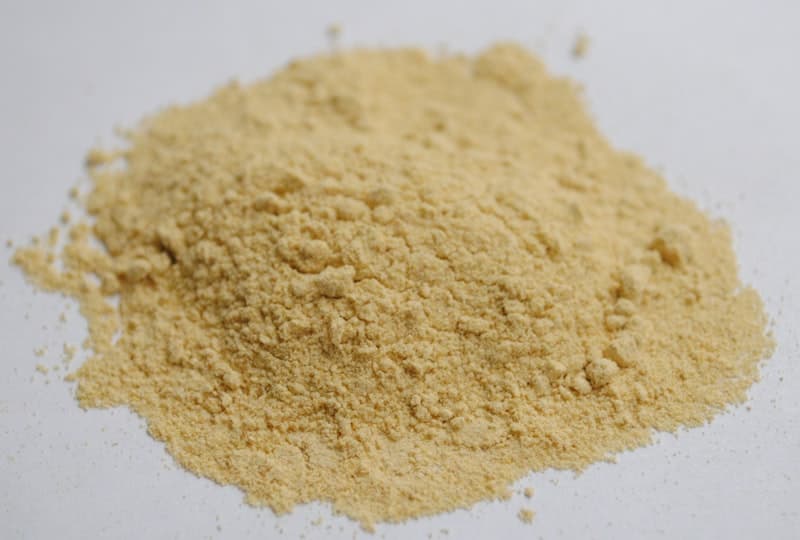 Garlic powder in a wooden spoon with fresh garlic cloves