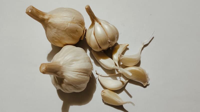 Fine white onion powder in a small white ceramic bowl